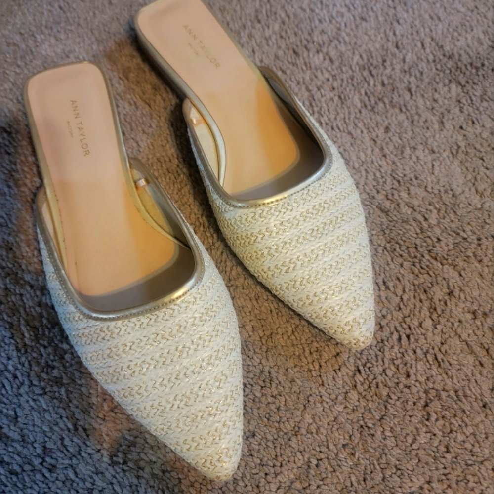 Ann Taylor dress slides